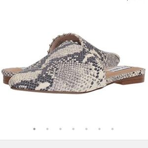 Steve Madden Trace-B natural snake color mule